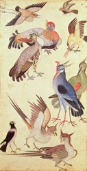 Ten Birds